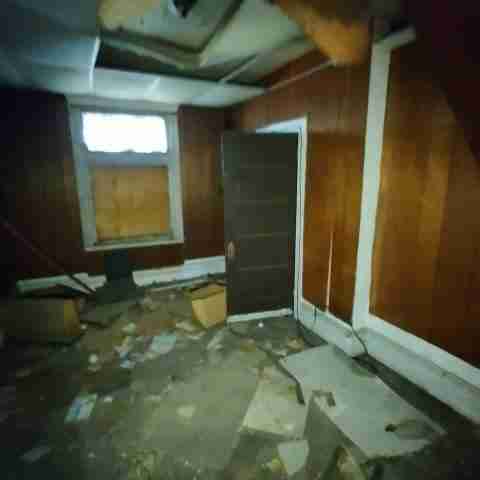 8031 conger (18).jpg